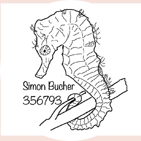 Accounttoewijzing stempels