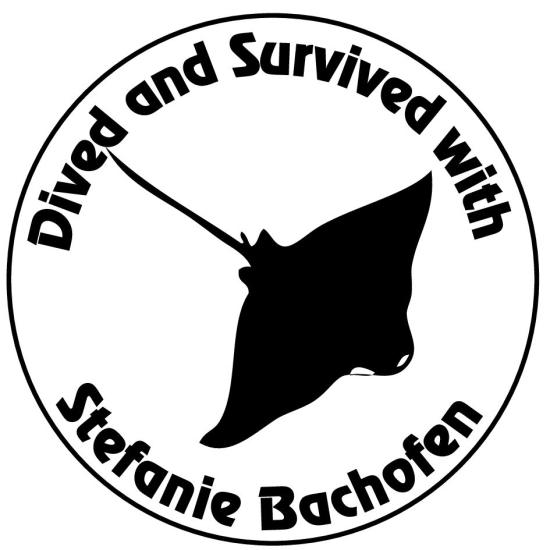 Adresstempels met kader