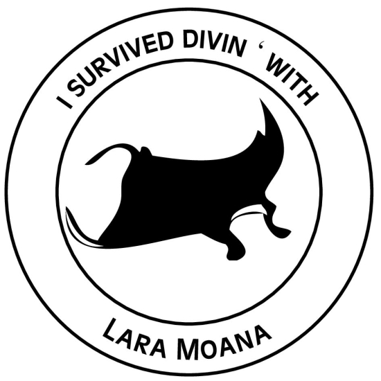 Geslagen, mijn reet!